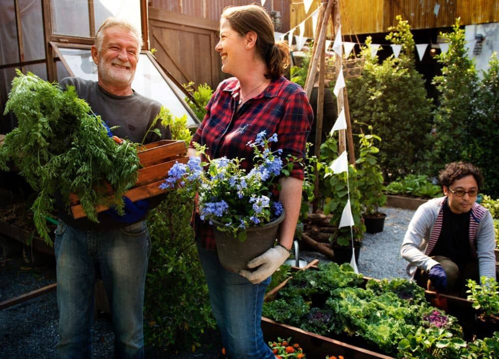 Urban Farm Shop Community